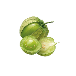 tomatillo