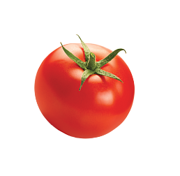 tomato