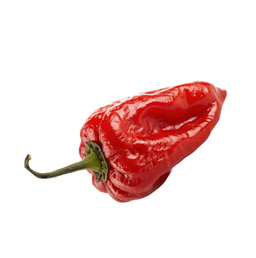Mango Habanero Hot Salsa